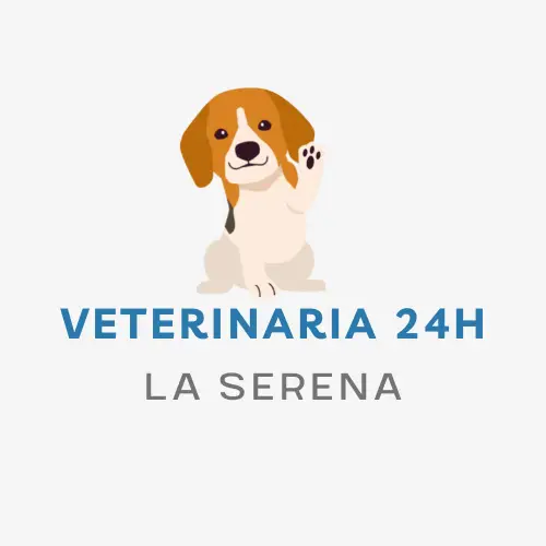 Veterinaria 24 horas La Serena