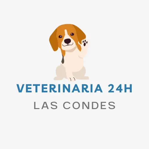 Veterinaria 24h Las Condes
