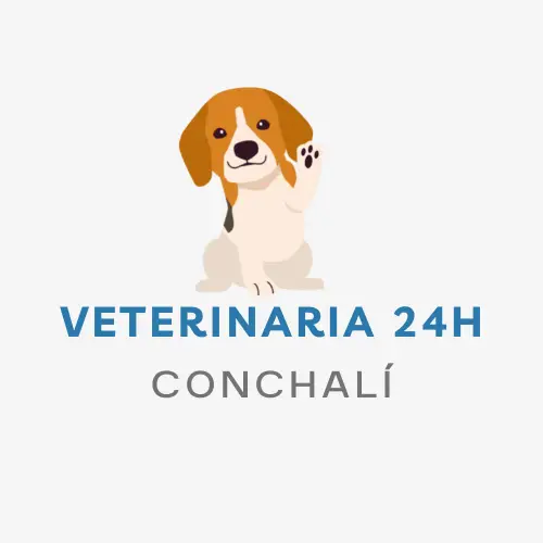 veterinaria 24h Conchalí