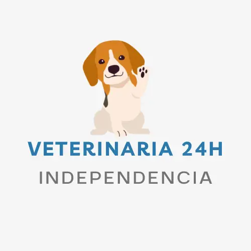 veterinaria 24h Independencia