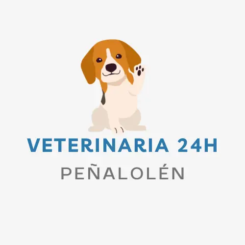 veterinaria 24h Peñalolén