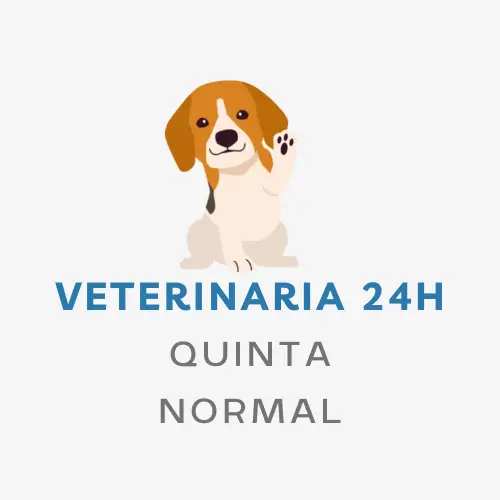 veterinaria 24h Quinta Normal